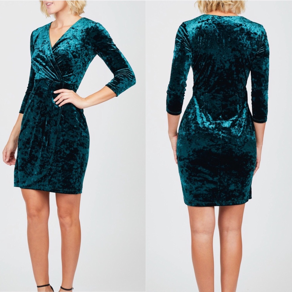 Maggy London Crushed Velvet Dress